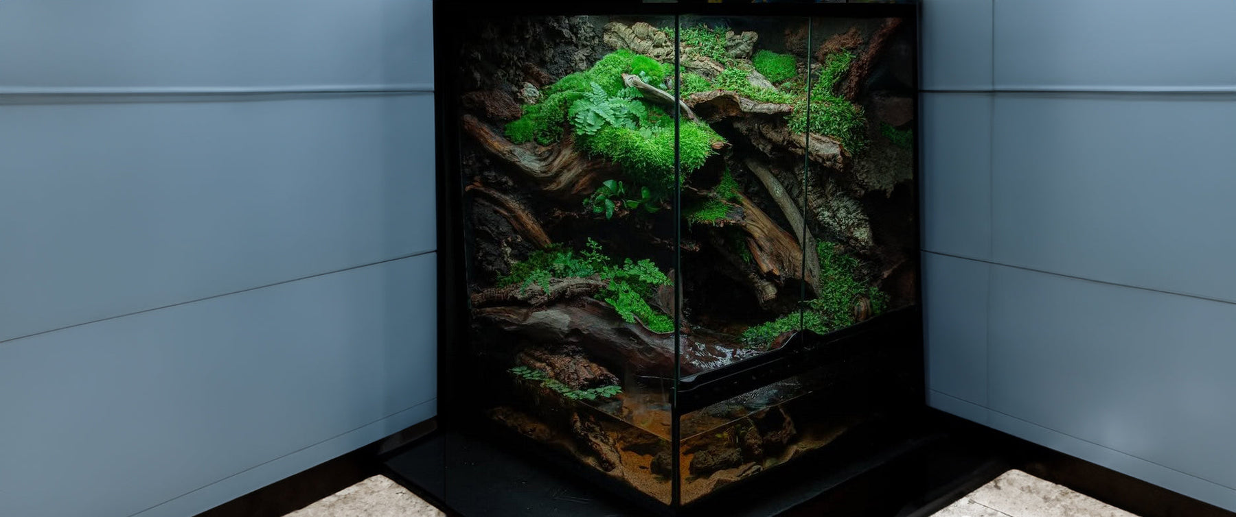 The Art of Creating a Custom-Made Terrarium: A Natural Masterpiece