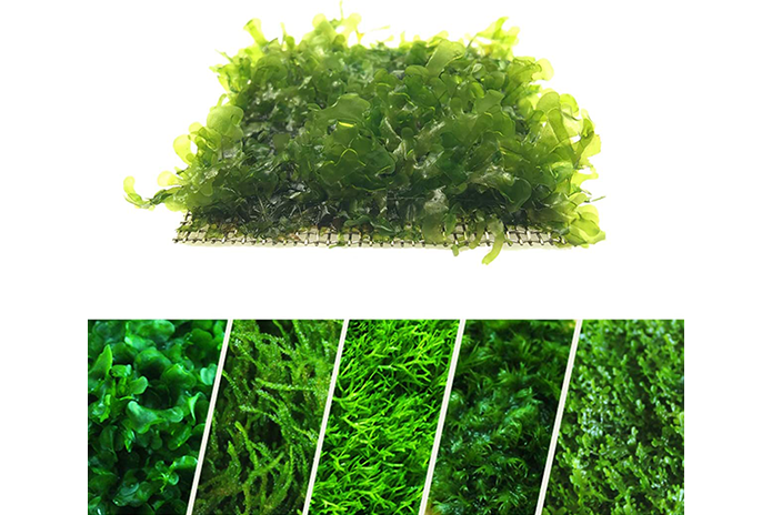 Aquarium Moss Mesh Pads - Various Sizes