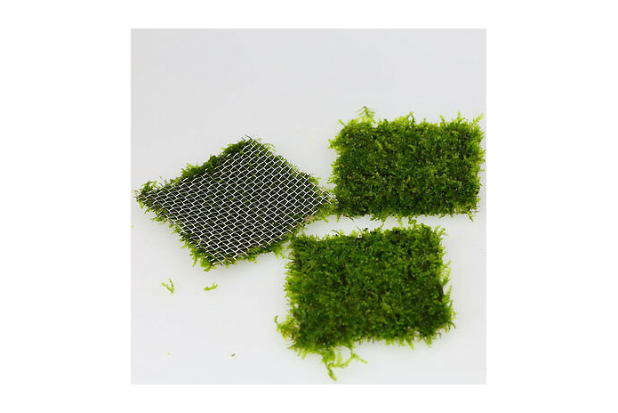 Aquarium Moss Mesh Pads - Various Sizes