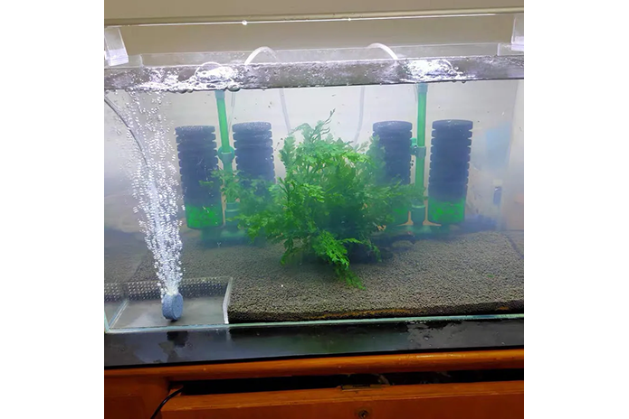 Acrylic Feeding Barriers