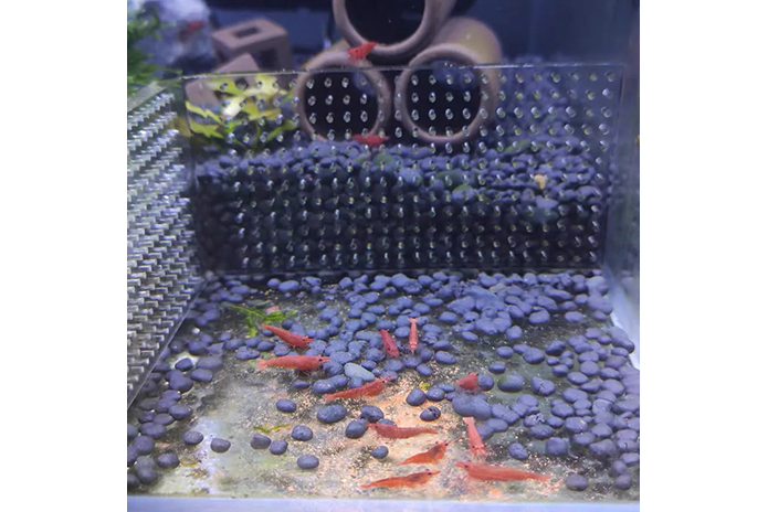 Acrylic Feeding Barriers