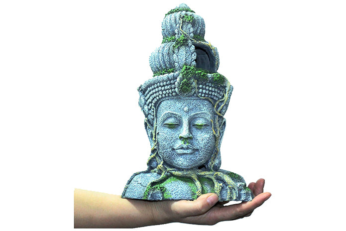 Buddha Head Ruined Abandoned Statue Ornament