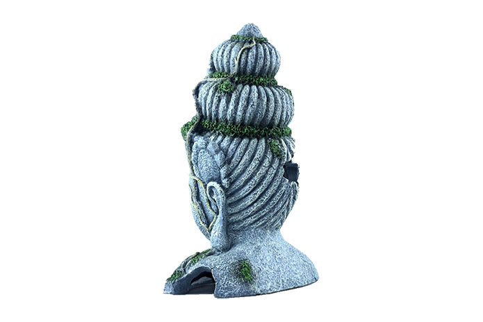 Buddha Head Ruined Abandoned Statue Ornament
