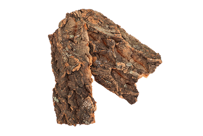 Natural Cork Bark