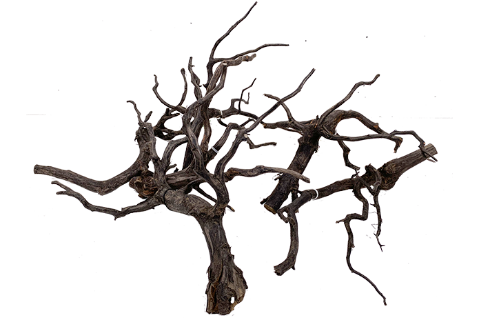 Black Forest Driftwood