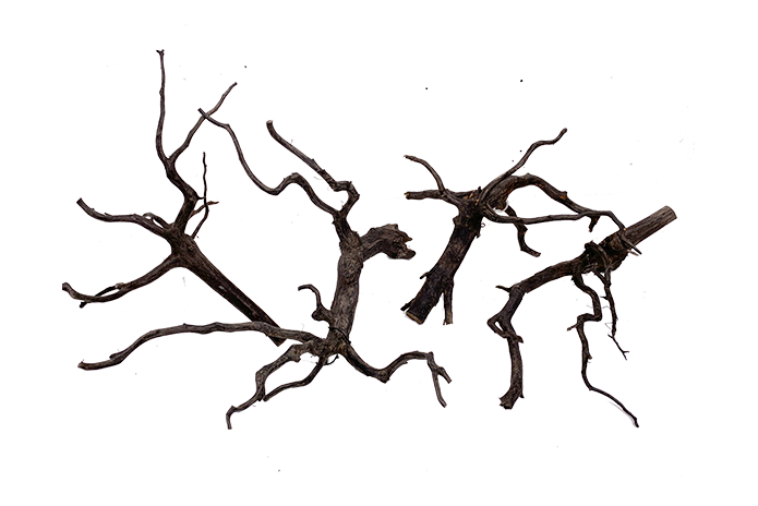 Black Forest Driftwood