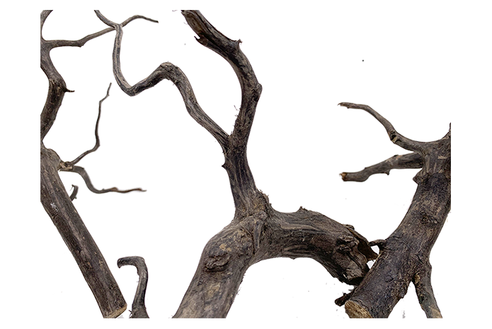 Black Forest Driftwood