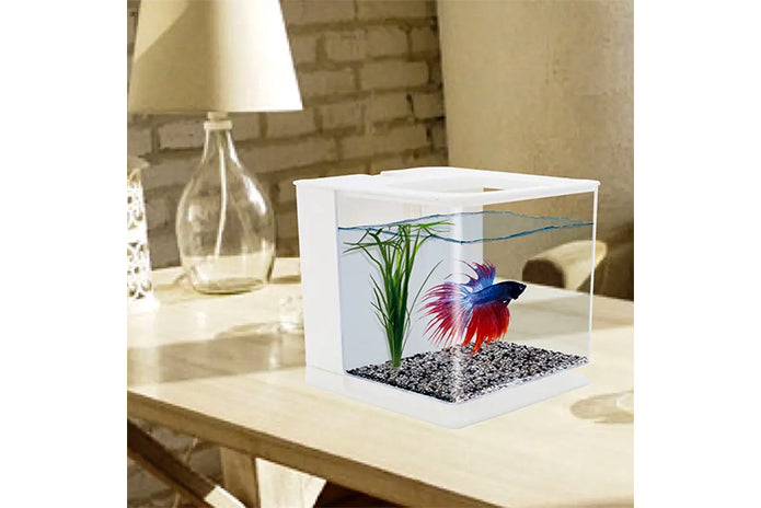 Acrylic Betta Aquarium - Easy to Clean