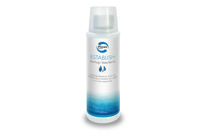 Establish - Startup Bacteria 200mL
