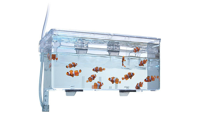 Fluval Hang-On Multi-Chamber Holding & Breeding Box