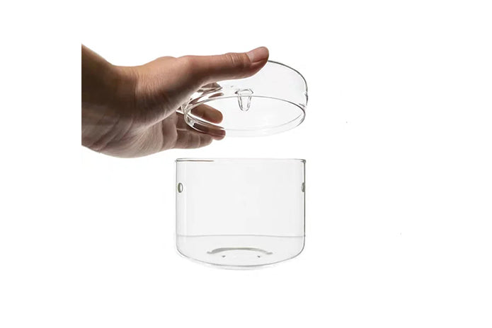 Glass Micro Terrarium - Mossarium