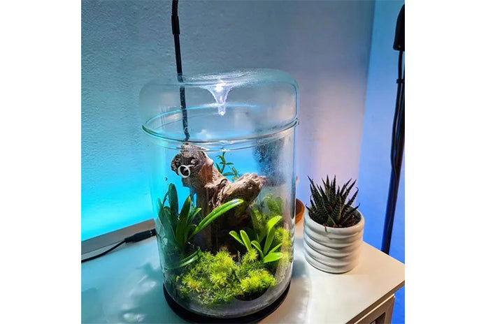 Glass Micro Terrarium - Mossarium