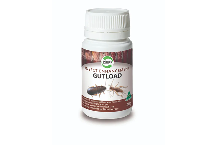 Gutload - 40g