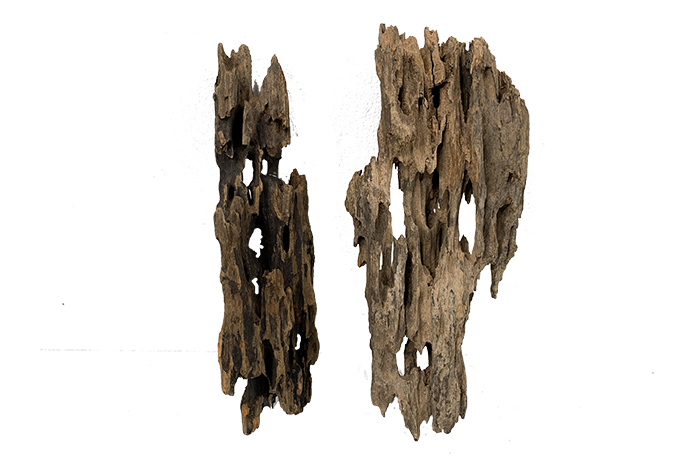 Honeycomb aka Dragon Driftwood