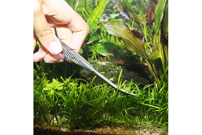JBL Pro Scape S 16 Spring Scissors
