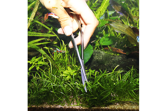 JBL Pro Scape S 16 Spring Scissors