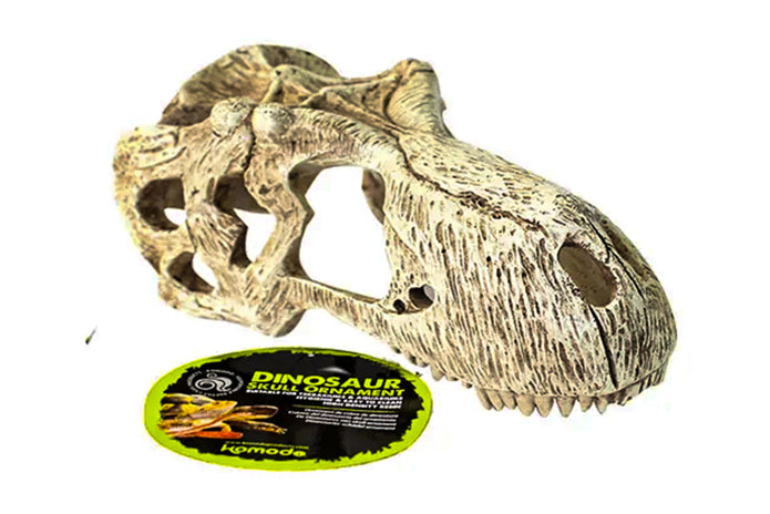 Komodo T-Rex Skull - Small