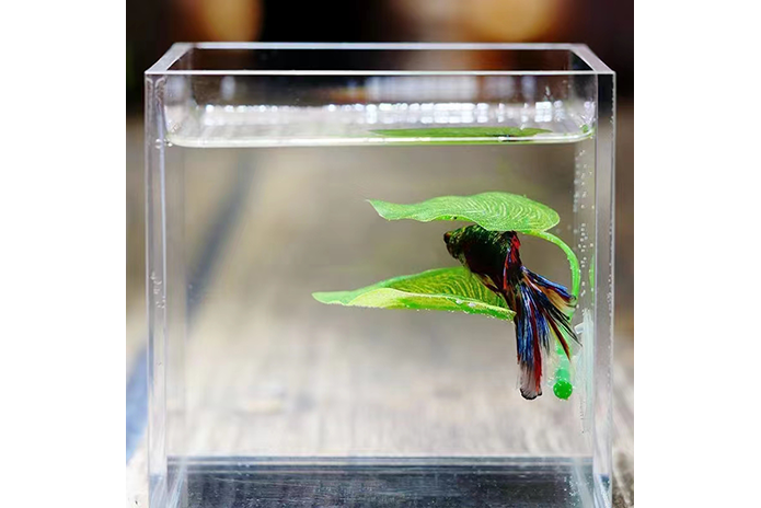 Betta Fish Artificial Hammock Leaf - Type B