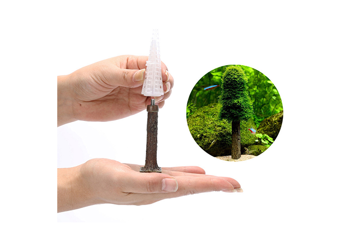 Moss Holding Tree