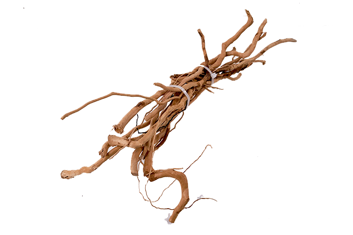 Scaping Nano-Driftwood Branches Bunch
