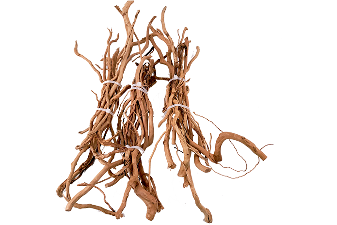 Scaping Nano-Driftwood Branches Bunch