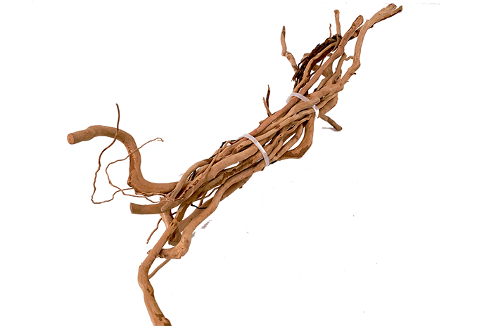 Scaping Nano-Driftwood Branches Bunch