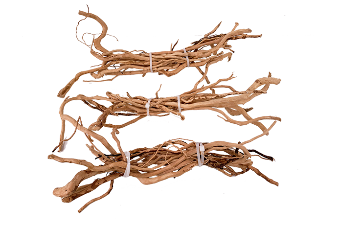 Scaping Nano-Driftwood Branches Bunch