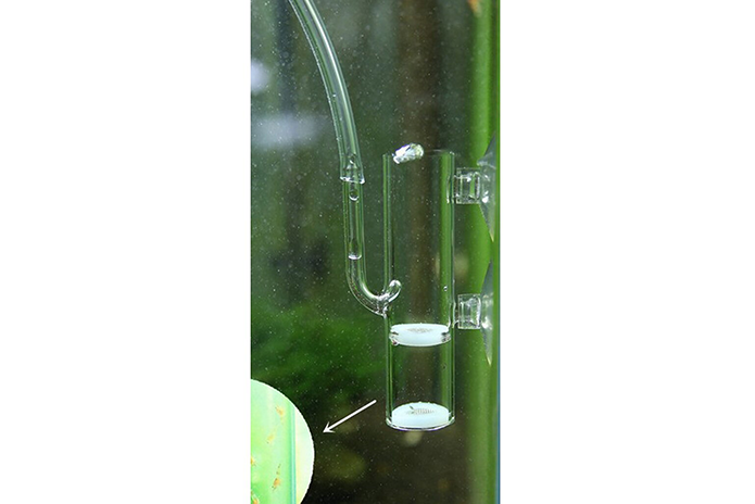 Shrimp Egg Incubator