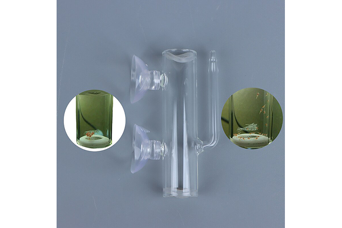 Shrimp Egg Incubator