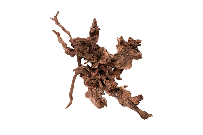 Basin Driftwood Showpiece - WA002