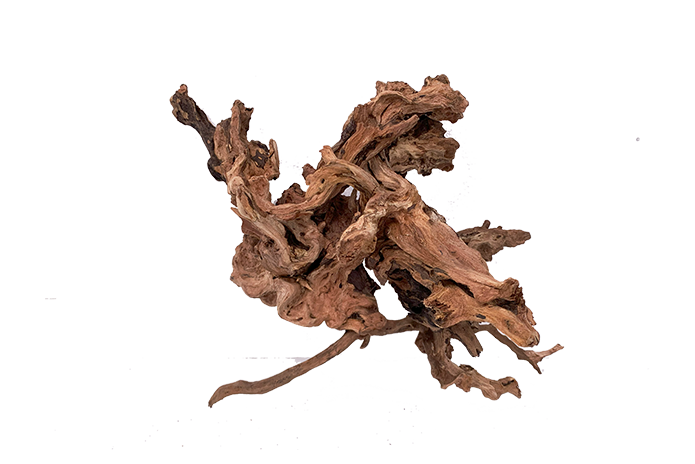 Basin Driftwood Showpiece - WA002