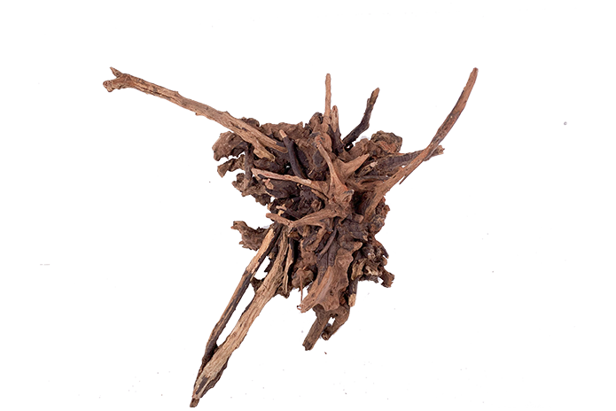 Basin Driftwood Showpiece - WA005