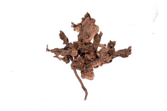 Basin Driftwood Showpiece - WA002