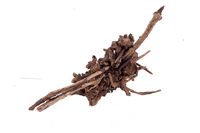 Basin Driftwood Showpiece - WA005