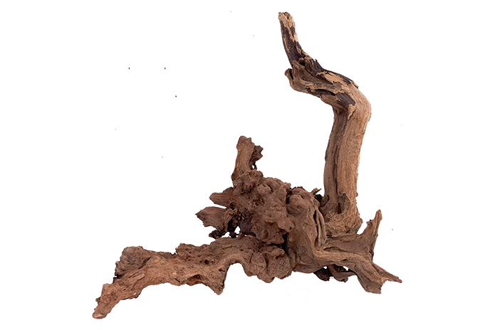 Basin Driftwood Showpiece - WA006