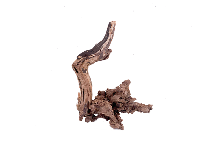 Basin Driftwood Showpiece - WA006