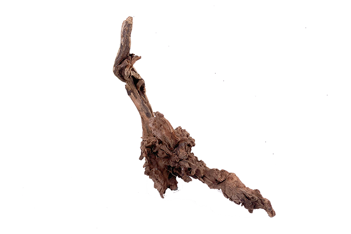 Basin Driftwood Showpiece - WA006