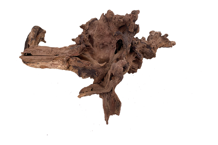 Basin Driftwood Showpiece - WA006