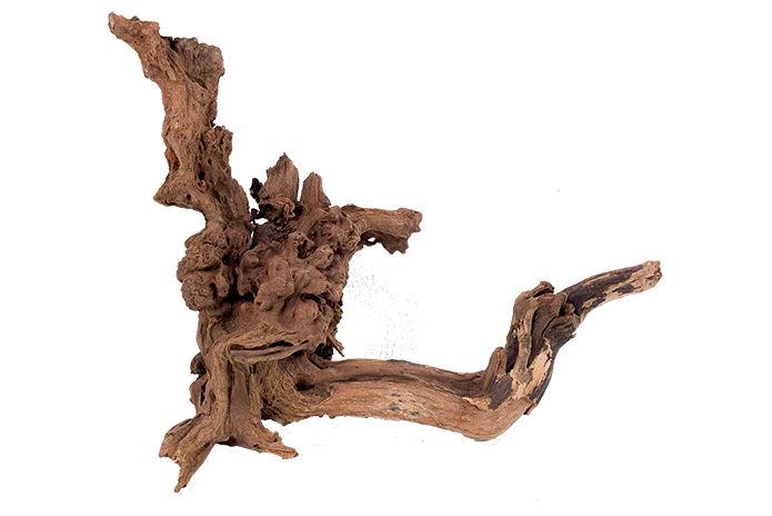 Basin Driftwood Showpiece - WA006