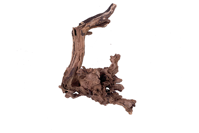 Basin Driftwood Showpiece - WA006