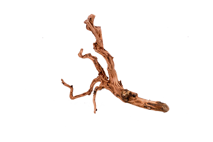 Tiger Forest Driftwood Showpiece - WA009