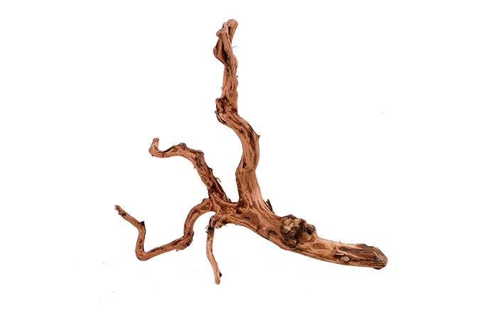 Tiger Forest Driftwood Showpiece - WA009