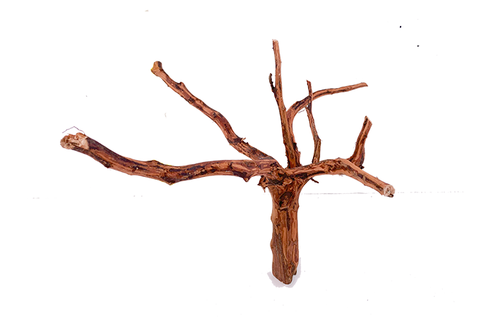 Tiger Forest Driftwood Showpiece - WA011