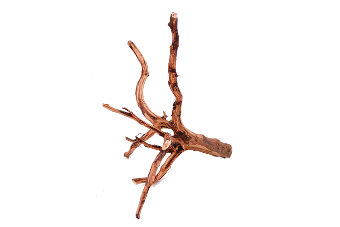 Tiger Forest Driftwood Showpiece - WA011