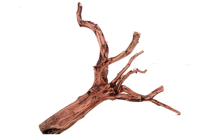 Tiger Forest Driftwood Showpiece - WA011
