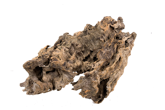 Basin Driftwood Showpiece - WA017