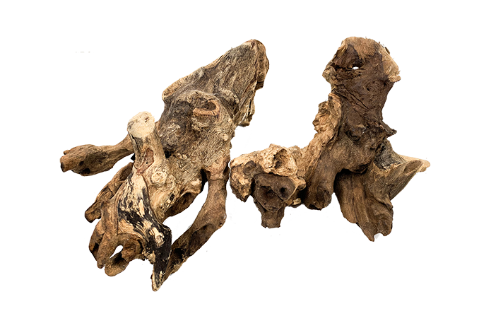 Driftwood Stump
