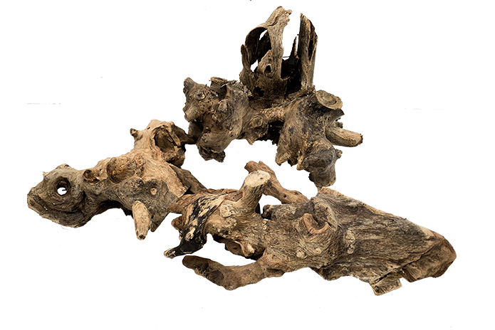 Driftwood Stump