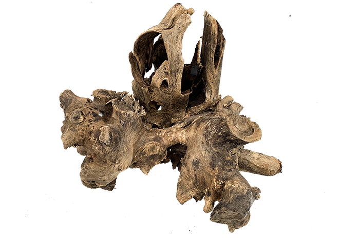 Driftwood Stump