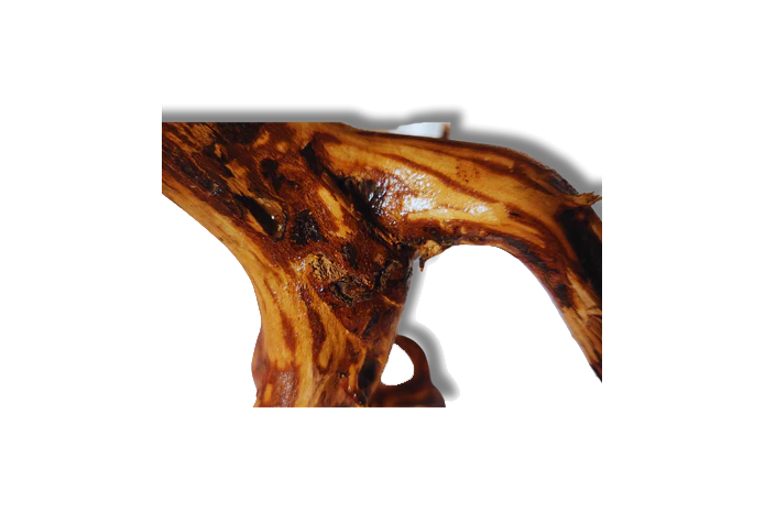 Tiger Forest Driftwood